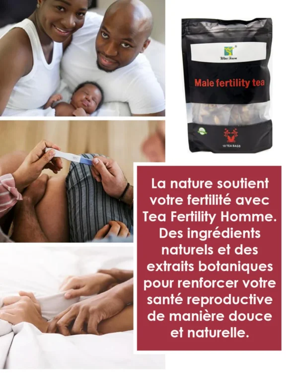 THÉ DE FERTILITÉ MASCULINE – Image 2